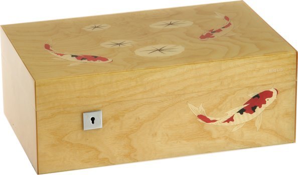 Siglo Humidor M maat 75 Kooikarpers